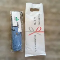 Item thumbnail for item 0a1f7bdf-ed08-466c-a6dd-fd07d7e6758f