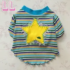 Item thumbnail for item 2ce1ac18-3ccc-4fa6-a115-c16f9049e524