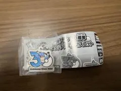 ポケモン 30周年 メタルチャームマスコット カメックス