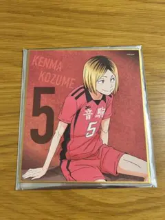 ハイキュー ゴミ捨て場の決戦展 研磨ミニ色紙