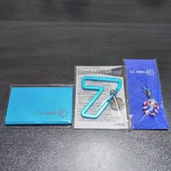 Item thumbnail for item 66d01915-8f42-47b6-98a6-525ad7118330