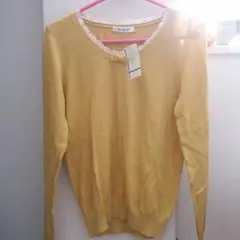 テチチ 薄いニット春物