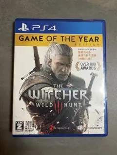 THE WITCHER 3: WILD HUNT GOTY