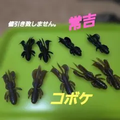 Item thumbnail for item 2d73888b-f38f-455b-b9b6-1eccbaedd9cd