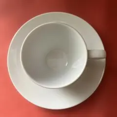 Noritake ホワイト カップ・ソーサー