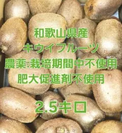 【2.5キロ箱用】和歌山県産　キウイフルーツ
