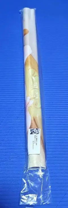 お風呂ポスター とらのあな 013 松本ドリル研究所 - メルカリ