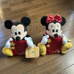 ディズニーリゾート ミッキー ミニー ぬいぐるみ
