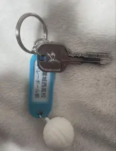 ハイキュー トレーディング 高校名付き 鍵チャーム キーホルダー 青葉城西