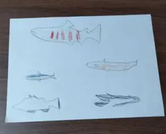 Item thumbnail for item 023b85e5-5c0c-4185-93aa-898579355872