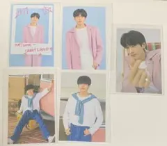 SEVENTEEN carat land 2019 ウォヌ　wonwoo