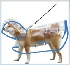 Item thumbnail for item 4706a856-177b-4b27-9666-5988ac5fa24b