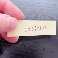 うさまる様専用　ソイネショップ