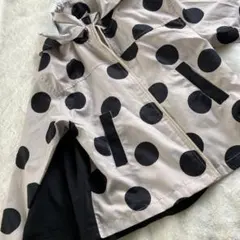 Item thumbnail for item 989f176e-1e81-4487-9017-d67c53539c21