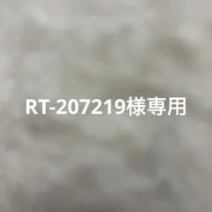 RT-207219様専用