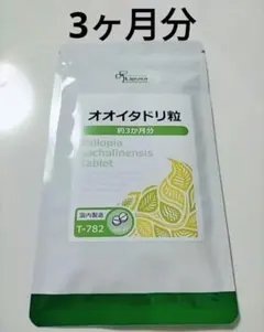 新品　オオイタドリ粒 3ヶ月分 リプサ サプリメント 大痛取 関節痛 健康食品のサムネイル