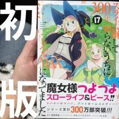 スライム倒して300年、知らないうちにレベルMAXになってました(17)