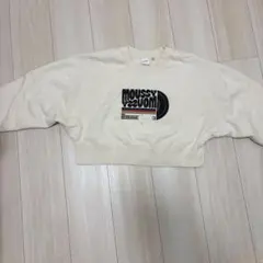 Item thumbnail for item 5d04fc03-c6f9-43be-860a-bfcf94ed056c