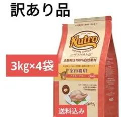 Item thumbnail for item ad8a715f-7119-4e4e-9c5b-2372fbb7bea5