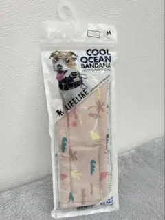 Item thumbnail for item 86c61097-4447-4861-8686-e96073652d52