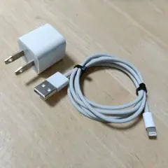 Apple純正A1385充電器と純正Lightningケーブルその2