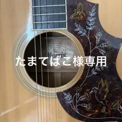 Morris モーリス WH-20 中古品 アコースティックギター 楽天市場】【送料無料】Morris / W-20 NAT【中古】【楽器/ｱｺｷﾞ/Morris