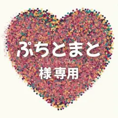 ぷちとまと様　専用ページ　14セット