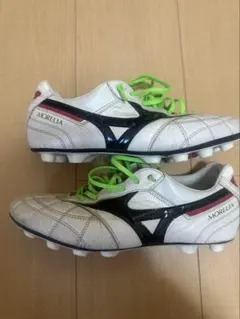 モレリアII JAPAN