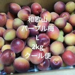 和歌山　パープル梅　紫　梅　2kg　クール便