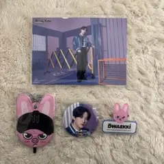 Stray Kids チャンビン DWAEKKI セット