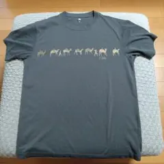 Item thumbnail for item 95187924-6fb7-45b5-8b0b-3383341fa5b1