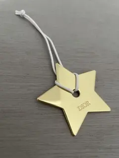 DIOR スターチャーム ゴールドカラーのサムネイル