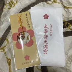 Item thumbnail for item b95a26ba-db4a-4b5e-adba-4b7cd12b3f5c