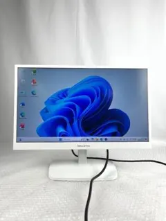 princeton PTFBDE-22w 21.5インチモニター内蔵スピーカーのサムネイル