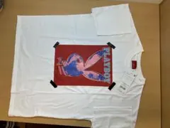 Item thumbnail for item a4062e2e-4e50-4569-81f8-a35de5ecaa88