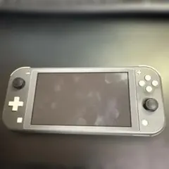 Nintendo Switch Lite グレー 本体
