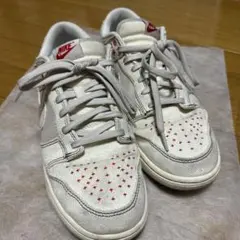 NIKE DUNK LOW RETRO SE