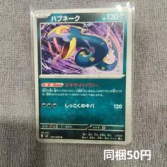【在庫2】ハブネークまとめ買いのサムネイル