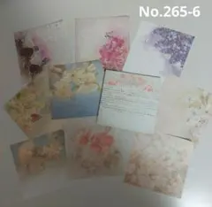 Item thumbnail for item 915f6a00-c2cb-4d75-9c9d-b7831e211913