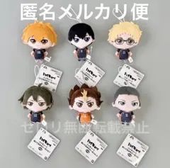 ハイキュー!! ぬいぐるみちゃーむ マスコット 烏野高校 1.2年生6種類セット
