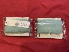 Item thumbnail for item 30d07b07-e1c1-4685-8bc0-3192d0376855