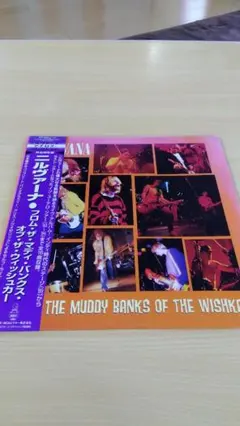 Item thumbnail for item 5aa936c3-a2c1-4c6a-939c-9944f8a3930f