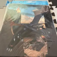 2026年最新】色違いリザードン ファイルの人気アイテム - メルカリ