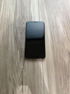 Apple iPhone 11 Pro シルバー 本体とアダプタ　64GB