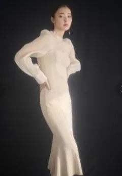 FRAY.I.D シアーパースリーブコンビワンピース オケージョン 同窓会