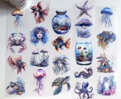 Item thumbnail for item b6c1fa98-cfbe-44da-b696-d481657cf34d