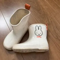 Item thumbnail for item 65000793-556a-419e-a71f-d65b90f6b3b4