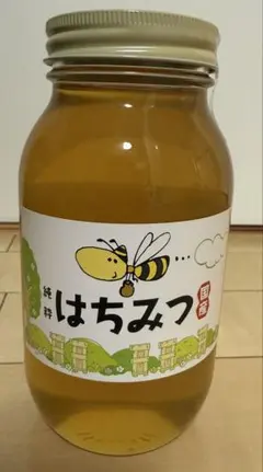 養蜂家直送】 はちみつ 1kg 国産 天然 非加熱 生蜂蜜 2026年5月新蜜