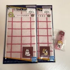 一番くじ ハイキュー 10th Anniversary 宮侑 北信介