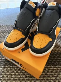 Nike Air Jordan 1 Retro High OG 